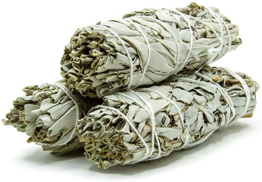 Organic California White Sage Bundle